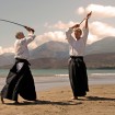 Iiaido