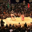 Sumo Wrestling