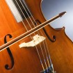Cello