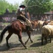 Cowboy Training