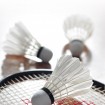 Badminton 