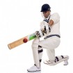 Cricket