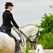Dressage