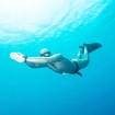 Freediving