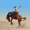 Rodeo