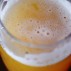 How beer fuelled the feasting culture that led to civilization
