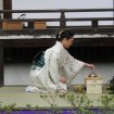 Japanese Tea Ceremony