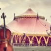 Circus Arts