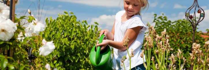 Gardening