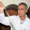 Wine Making