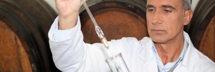 Wine Making