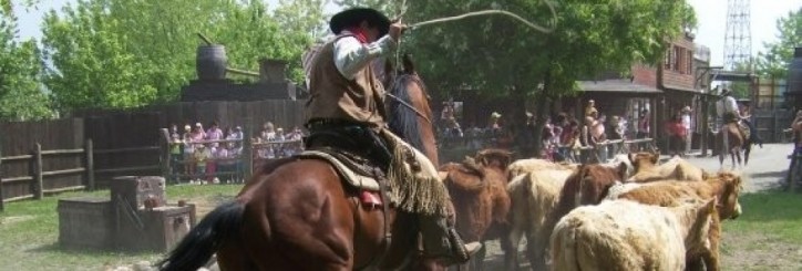 Cowboy Training