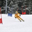 Alpine / Downhill Skiing