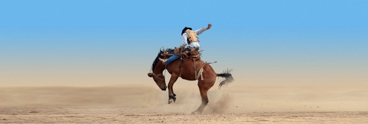 Rodeo