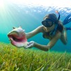 Snorkeling