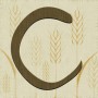 CANVAS cafe and bakery