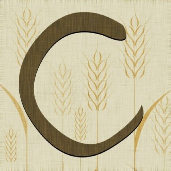 CANVAS cafe and bakery